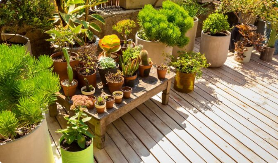 Top 5 Things That You Need To Have In Your making Garden