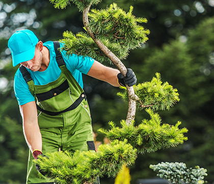 professional-gardening